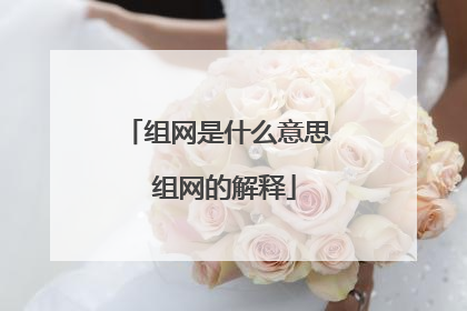 组网是什么意思 组网的解释