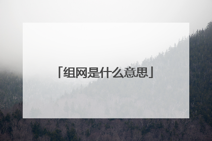 组网是什么意思