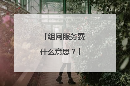 组网服务费什么意思?