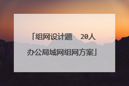 组网设计题  20人 办公局域网组网方案