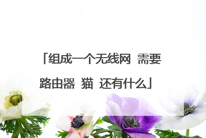 组成一个无线网 需要路由器 猫 还有什么