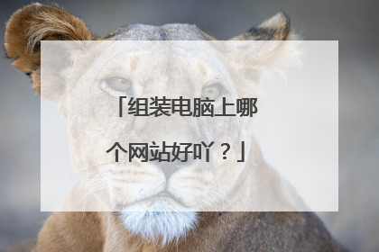 组装电脑上哪个网站好吖？