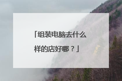 组装电脑去什么样的店好哪？