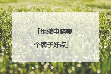 组装电脑哪个牌子好点