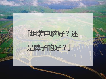 组装电脑好?还是牌子的好?
