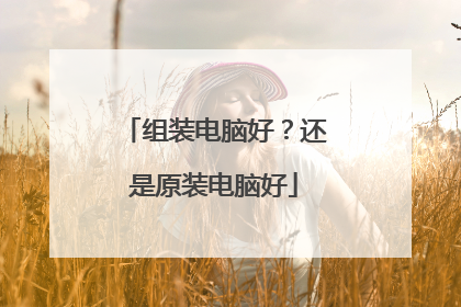 组装电脑好?还是原装电脑好