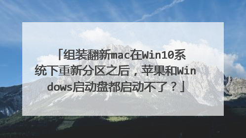 组装翻新mac在Win10系统下重新分区之后,苹果和Windows启动盘都启动不了?
