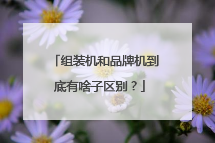 组装机和品牌机到底有啥子区别？