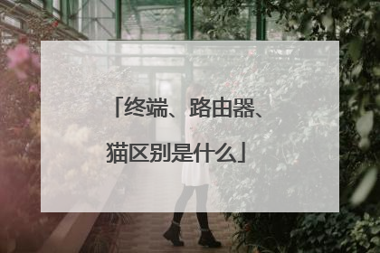 终端、路由器、猫区别是什么