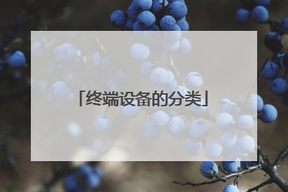 终端设备的分类