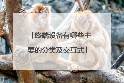 终端设备有哪些主要的分类及交互式