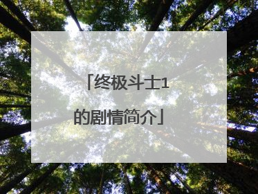 终极斗士1的剧情简介
