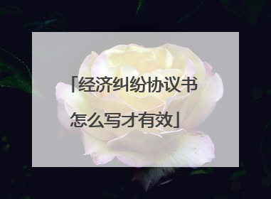 经济纠纷协议书怎么写才有效