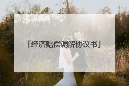 经济赔偿调解协议书