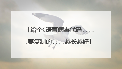 给个C语言病毒代码.....要复制的....越长越好
