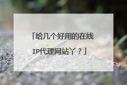 给几个好用的在线IP代理网站丫?
