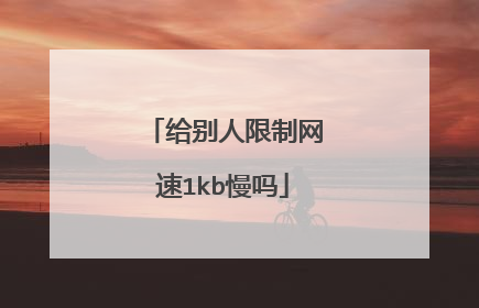 给别人限制网速1kb慢吗