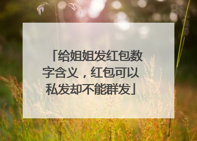 给姐姐发红包数字含义,红包可以私发却不能群发