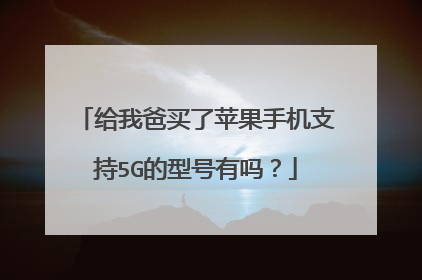 给我爸买了苹果手机支持5G的型号有吗？