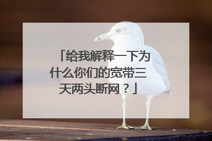 给我解释一下为什么你们的宽带三天两头断网?