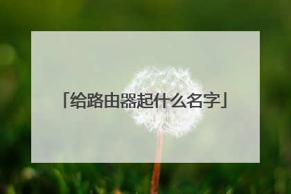给路由器起什么名字