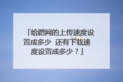 给蹭网的上传速度设置成多少 还有下载速度设置成多少？