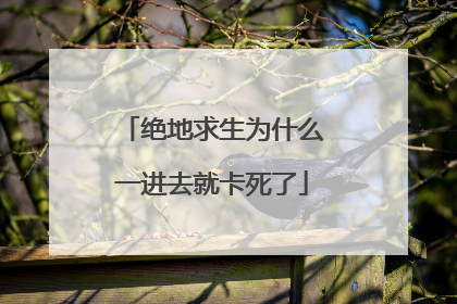 绝地求生为什么一进去就卡死了