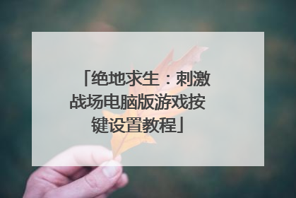绝地求生:刺激战场电脑版游戏按键设置教程