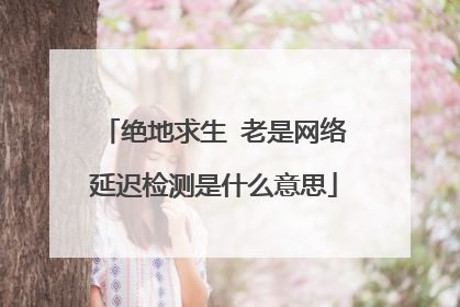 绝地求生 老是网络延迟检测是什么意思