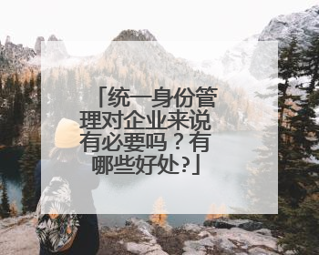 统一身份管理对企业来说有必要吗？有哪些好处?