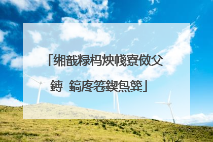 缃戠粶杩炴帴寮傚父鏄�鎬庝箞鍥炰簨