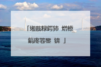 缃戠粶鍔犻�熷櫒鎬庝箞鐢�锛�