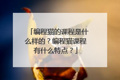 编程猫的课程是什么样的?编程猫课程有什么特点?