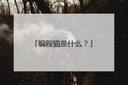编程猫是什么?