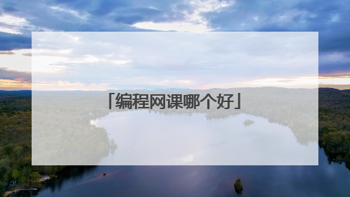 编程网课哪个好