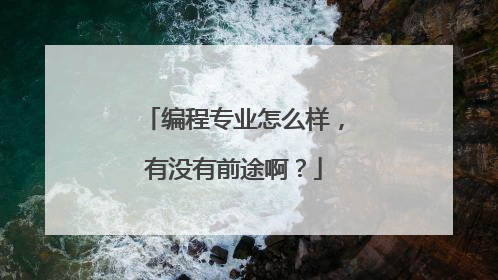 编程专业怎么样,有没有前途啊?