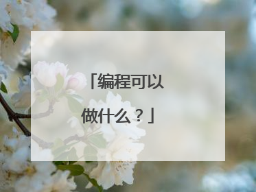 编程可以做什么？
