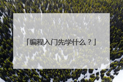 编程入门先学什么?