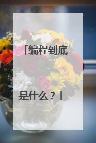 编程到底是什么?