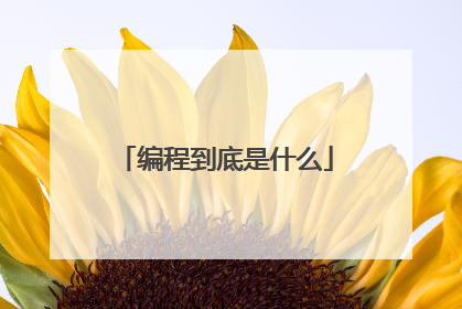 编程到底是什么