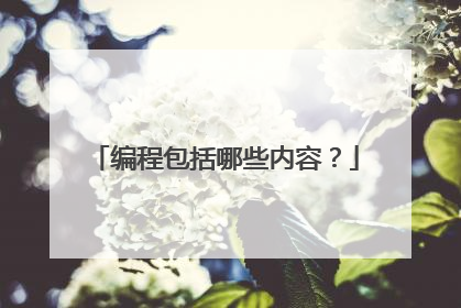 编程包括哪些内容?