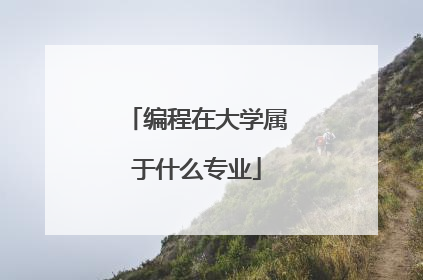 编程在大学属于什么专业