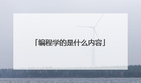编程学的是什么内容