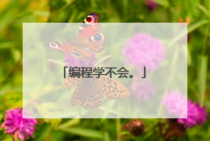 编程学不会。