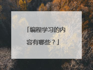 编程学习的内容有哪些？