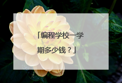 编程学校一学期多少钱?