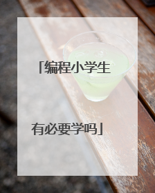 编程小学生有必要学吗
