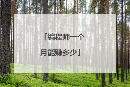 编程师一个月能赚多少