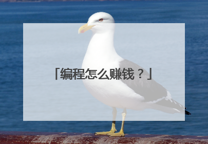 编程怎么赚钱？