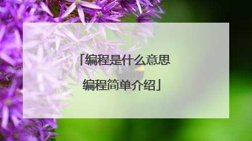 编程是什么意思 编程简单介绍